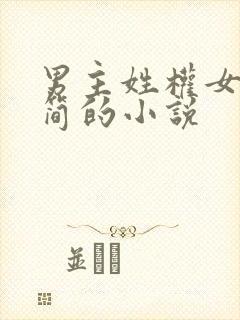 男主姓权女主姓简的小说