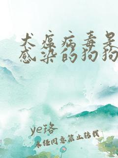 犬瘟病毒是怎么感染的狗狗