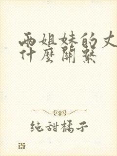 两姐妹的丈夫是什么关系