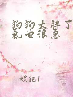 狗狗太胖了,喘气也很急