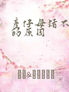 产仔母猪不吃食的原因