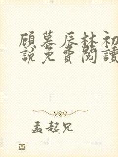 顾慕辰林初荔小说免费阅读最新章节