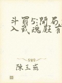 斗罗5:开局加入武魂殿有声小说完整