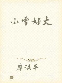 小雪好大