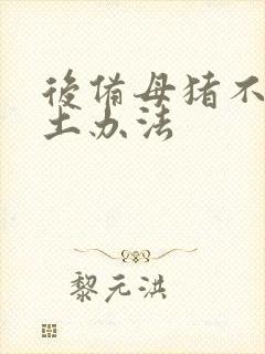 后备母猪不发情土办法