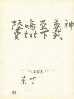 陆鸣至尊神殿免费txt下载