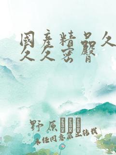 国产精品久久久久久密臀