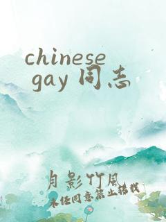 chinese gay 同志