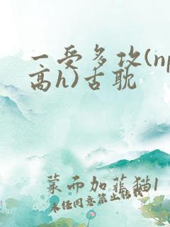 一受多攻(np高h)古耽