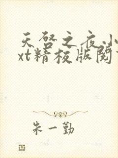 天启之夜小说txt精校版阅读