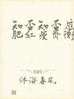 知否知否应是绿肥红瘦齐衡的妻子