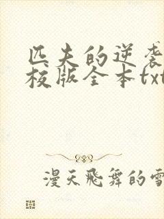 匹夫的逆袭 精校版全本txt