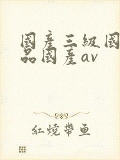 国产三级国产精品国产av