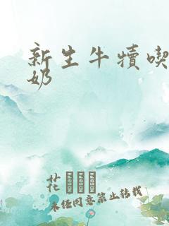 新生牛犊吃多少奶