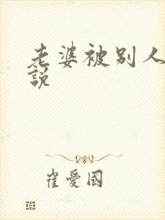 老婆被别人玩小说