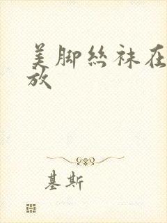 美脚丝袜在线播放