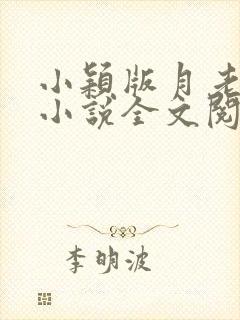 小颖版月老小颖小说全文阅读