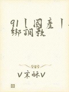 91丨国产丨捆绑调教