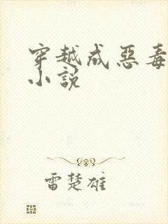 穿越成恶毒女配小说