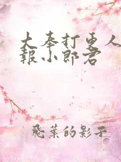 大奉打更人.卖报小郎君