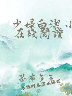 少妇白洁 小说 在线阅读