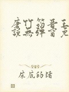 唐竹筠晋王的小说无弹窗免费阅读