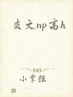 爽文np高h