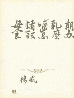 母猪哺乳期不吃食该怎么办