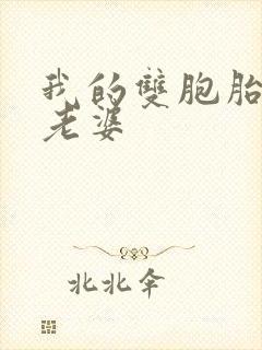 我的双胞胎总裁老婆