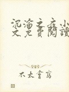 沉沦之夜小说全文免费阅读无弹窗