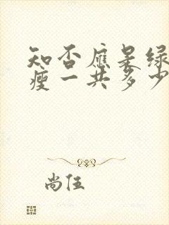 知否应是绿肥红瘦一共多少集