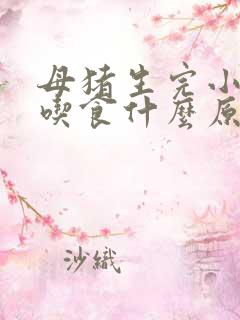 母猪生完小猪不吃食什么原因