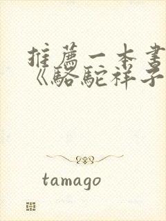 推荐一本书作文《骆驼祥子》