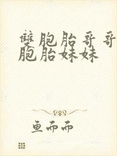 双胞胎哥哥和双胞胎妹妹