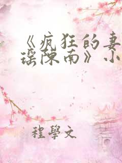 《疯狂的妻子林瑶陈南》小说下载