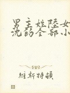 男主姓陆女主姓沈的全部小说