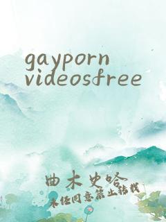 gaypornvideosfree