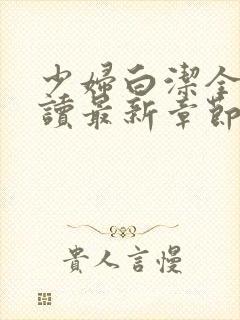 少妇白洁全文阅读最新章节