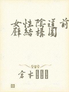 女性阴道前壁后壁结构图