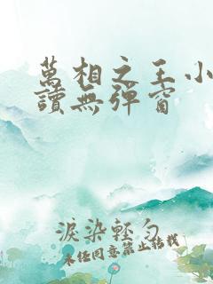 万相之王小说阅读无弹窗