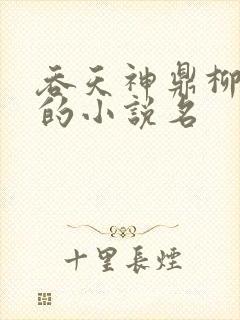 吞天神鼎柳无邪的小说名