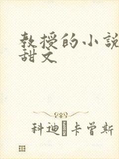 教授的小说言情甜文