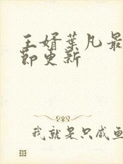 王婿叶凡最新章节更新