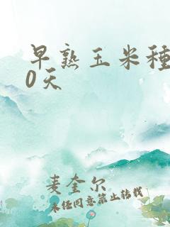 早熟玉米种子80天