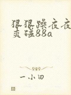 狠狠躁夜夜躁人爽碰88a