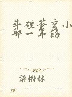 斗破苍穹小说是哪一年的