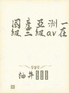 国产亚洲一级二级三级av在线观看