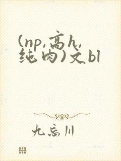 (np,高h,纯肉)文bl