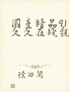 国产精品91久久久在线观看