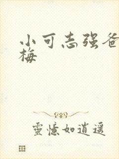 小可志强爸爸阿梅